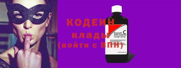 индика Алзамай