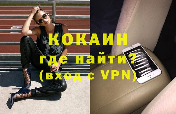 индика Алзамай