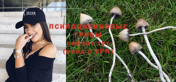 трава Алексеевка