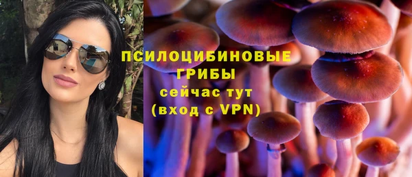 индика Алзамай